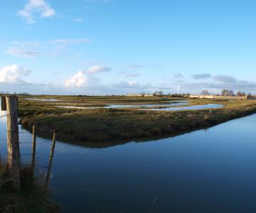 Marais de Brouage. Crédit : île d'Oléron Marennes Tourisme