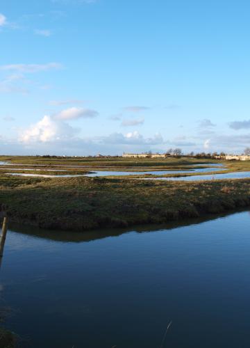 Marais de Brouage. Crédit : île d'Oléron Marennes Tourisme