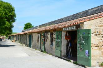 Crédit : Ile d'Oléron Marennes Tourisme