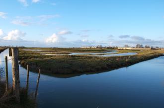 Marais de Brouage. Crédit : île d'Oléron Marennes Tourisme