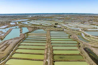 Marais de la Seudre_Marennes-Hiers-Brouage