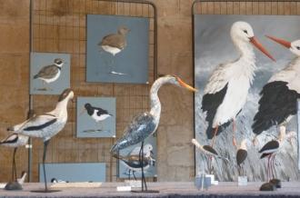 Exposition d'art : Ailes et Elles