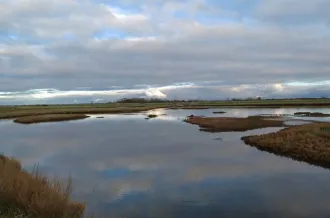 Reserve-Moeze-Oleron-LPO-paysage