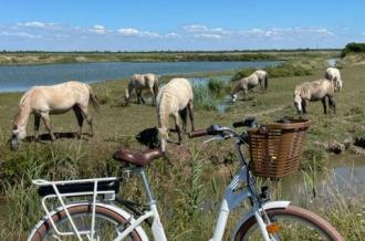 Vélos de la Manade