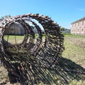 Découverte de l'oeuvre végétale et sonore "Réseaux connectés"_Marennes-Hiers-Brouage
