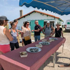 Balade gourmande à Brouage_Marennes-Hiers-Brouage