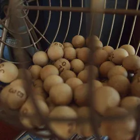 Loto de La Gaule Marennaise_Marennes-Hiers-Brouage