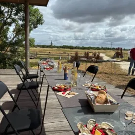 Visite ostréicole "le banc d'Aline"_Marennes-Hiers-Brouage