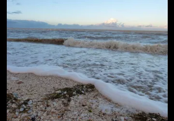 Réserve naturelle côté mer