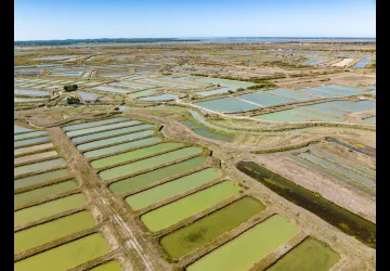 Marais de la Seudre_Marennes-Hiers-Brouage