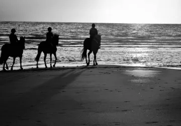 Balade plage