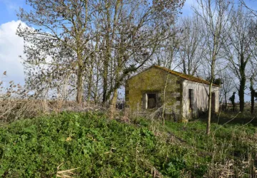 Hors les murs, à la Cabane de la Craie “Le marais de Brouage à l’abri !”_Marennes-Hiers-Brouage