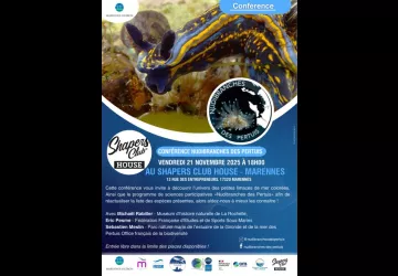 Conférence - "Nudibranches des Pertuis"