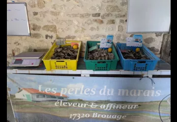 Les Perles du Marais - Point de vente_Marennes-Hiers-Brouage