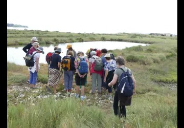 Balade botanique dans le marais de Brouage_Marennes-Hiers-Brouage