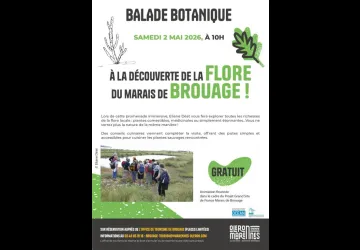 Balade botanique dans le marais de Brouage_Marennes-Hiers-Brouage