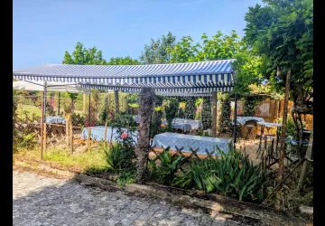 Aux 5 saveurs - Epicerie fine et restauration rapide_Marennes-Hiers-Brouage