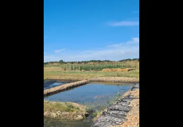 Saline et Marais_Marennes-Hiers-Brouage